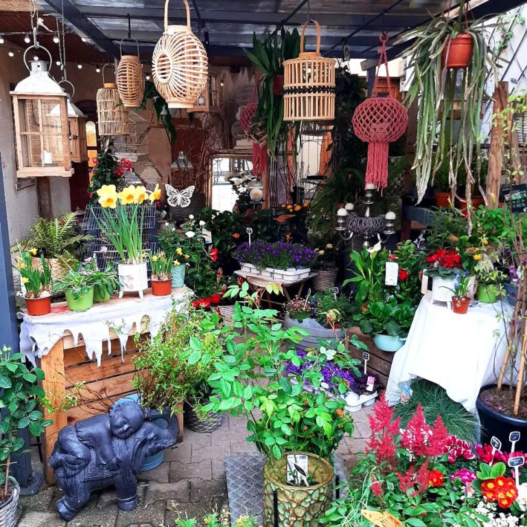 L'attrape fleurs, fleuriste vous propose la livraison de fleurs, création compositions florales, décorations de mariages et vitrines près de Villefranche-sur-Saône, Liergues Pierres Dorées et Limas.